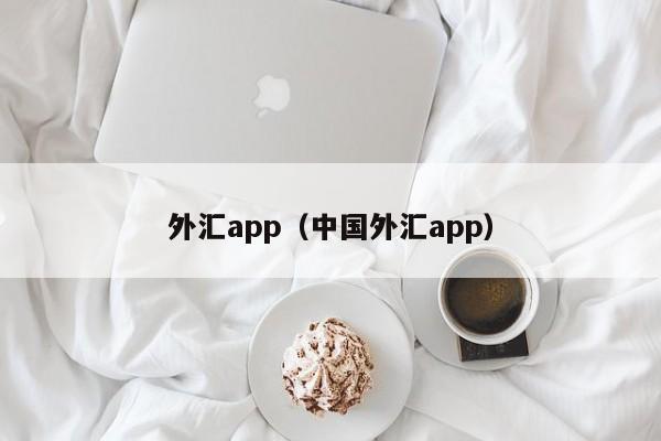 外汇app（中国外汇app）